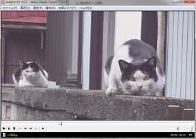 block_neko
